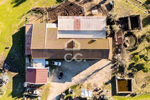 Farm hus i Evora, Evora, Evora - € 1.600.000 | Ref: 318/Q/03731 - foto 42