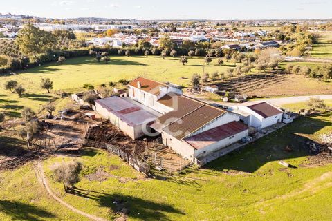 Farm hus i Evora, Evora, Evora - € 1.600.000 | Ref: 318/Q/03731 - foto 45