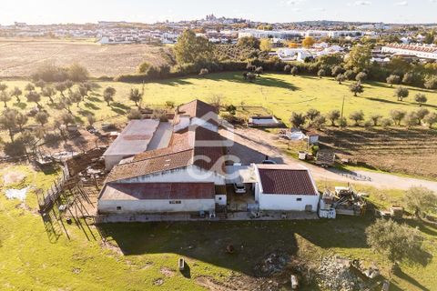 Farm hus i Evora, Evora, Evora - € 1.600.000 | Ref: 318/Q/03731 - foto 46