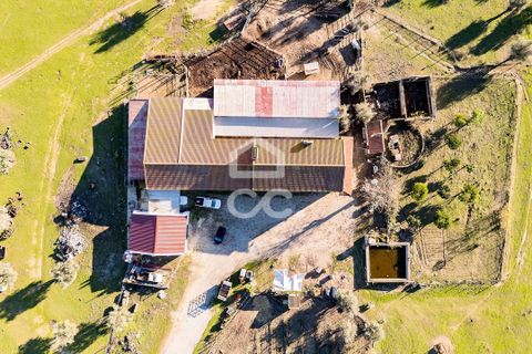 Farm hus i Evora, Evora, Evora - € 1.600.000 | Ref: 318/Q/03731 - foto 47