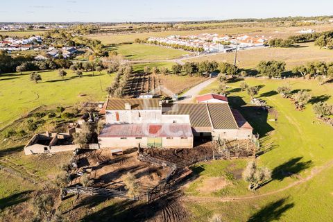 Farm hus i Evora, Evora, Evora - € 1.600.000 | Ref: 318/Q/03731 - foto 48