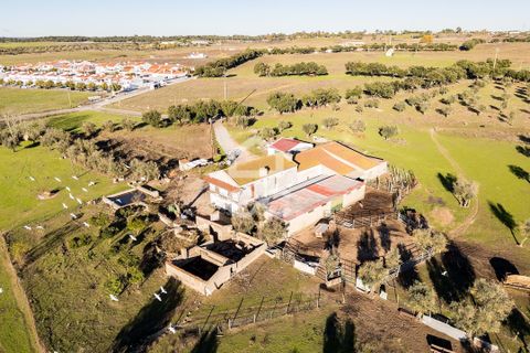 Farm hus i Evora, Evora, Evora - € 1.600.000 | Ref: 318/Q/03731 - foto 49