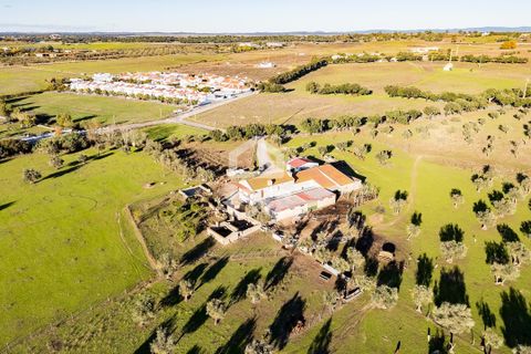 Farm hus i Evora, Evora, Evora - € 1.600.000 | Ref: 318/Q/03731 - foto 50