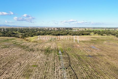 Terra a Samora Correia, Santarem, Samora Correia - € 1.500.000 | Ref: FG382 - foto 2