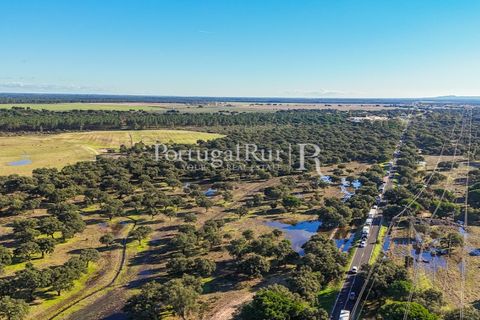 Terra a Samora Correia, Santarem, Samora Correia - € 1.500.000 | Ref: FG382 - foto 3
