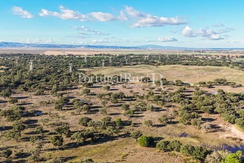 Terra a Samora Correia, Santarem, Samora Correia - € 1.500.000 | Ref: FG382 - foto 4