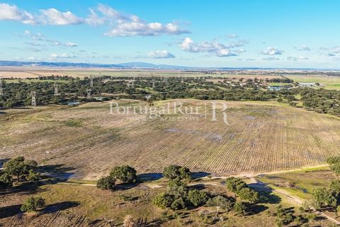 Terra a Samora Correia, Santarem, Samora Correia - € 1.500.000 | Ref: FG382 - foto 5