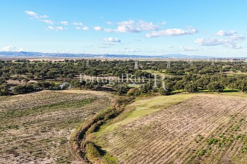 Terra a Samora Correia, Santarem, Samora Correia - € 1.500.000 | Ref: FG382 - foto 6