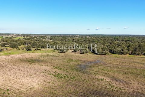 Terra a Samora Correia, Santarem, Samora Correia - € 1.500.000 | Ref: FG382 - foto 7