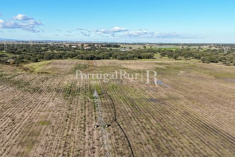 Terra a Samora Correia, Santarem, Samora Correia - € 1.500.000 | Ref: FG382 - foto 8