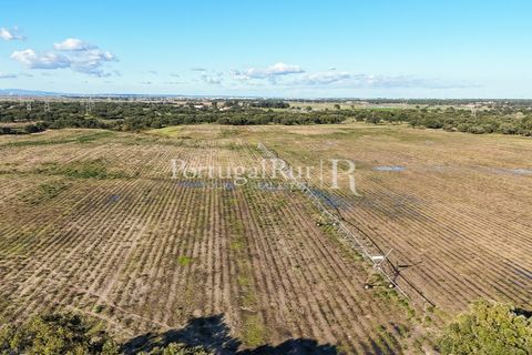 Terra a Samora Correia, Santarem, Samora Correia - € 1.500.000 | Ref: FG382 - foto 9
