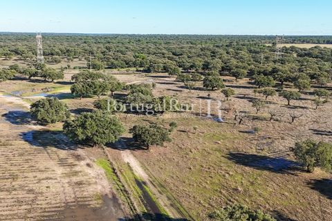Terra a Samora Correia, Santarem, Samora Correia - € 1.500.000 | Ref: FG382 - foto 10