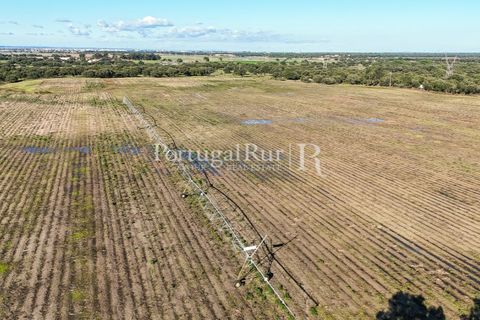 Terra a Samora Correia, Santarem, Samora Correia - € 1.500.000 | Ref: FG382 - foto 11