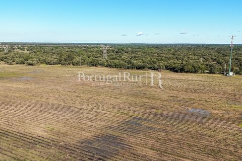 Terra a Samora Correia, Santarem, Samora Correia - € 1.500.000 | Ref: FG382 - foto 12