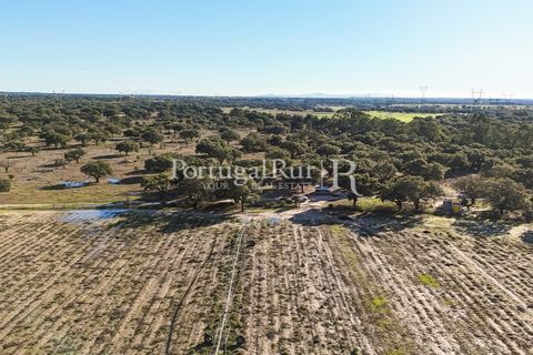 Terra a Samora Correia, Santarem, Samora Correia - € 1.500.000 | Ref: FG382 - foto 13