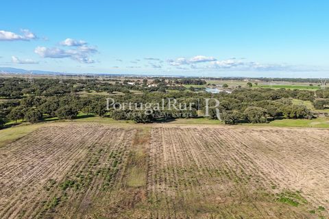 Terra a Samora Correia, Santarem, Samora Correia - € 1.500.000 | Ref: FG382 - foto 14
