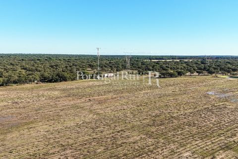 Terra a Samora Correia, Santarem, Samora Correia - € 1.500.000 | Ref: FG382 - foto 15
