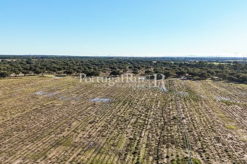 Terra a Samora Correia, Santarem, Samora Correia - € 1.500.000 | Ref: FG382 - foto 16
