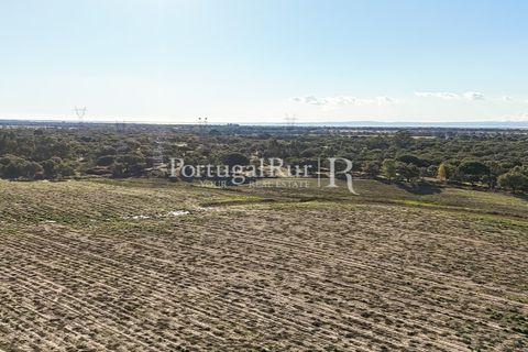 Terra a Samora Correia, Santarem, Samora Correia - € 1.500.000 | Ref: FG382 - foto 17