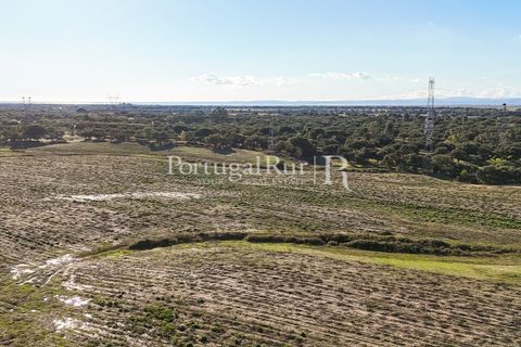 Terra a Samora Correia, Santarem, Samora Correia - € 1.500.000 | Ref: FG382 - foto 18