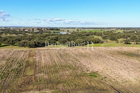Terra a Samora Correia, Santarem, Samora Correia - € 1.500.000 | Ref: FG382 - foto 19