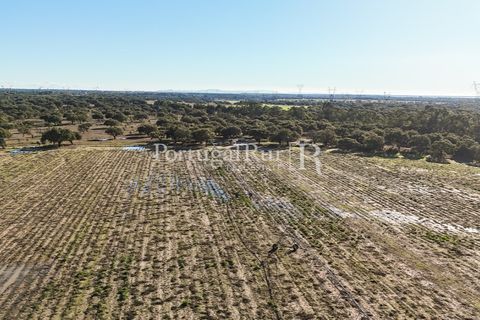 Terra a Samora Correia, Santarem, Samora Correia - € 1.500.000 | Ref: FG382 - foto 20