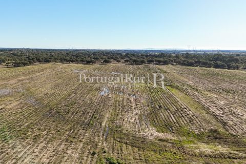 Terra a Samora Correia, Santarem, Samora Correia - € 1.500.000 | Ref: FG382 - foto 21
