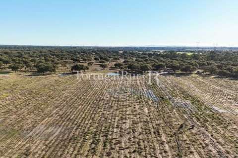 Terra a Samora Correia, Santarem, Samora Correia - € 1.500.000 | Ref: FG382 - foto 22