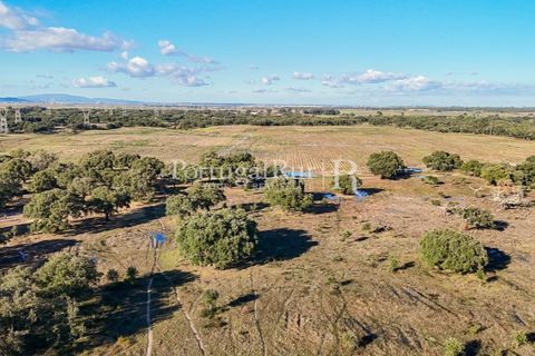 Terra a Samora Correia, Santarem, Samora Correia - € 1.500.000 | Ref: FG382 - foto 24