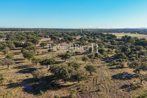 Terra a Samora Correia, Santarem, Samora Correia - € 1.500.000 | Ref: FG382 - foto 26