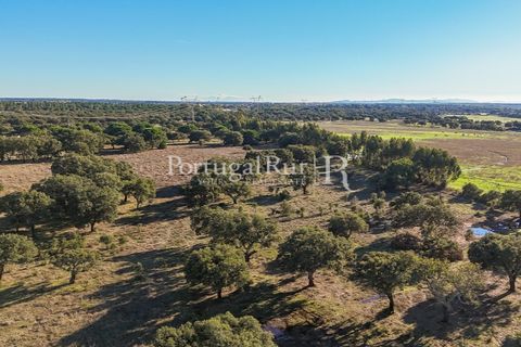 Terra a Samora Correia, Santarem, Samora Correia - € 1.500.000 | Ref: FG382 - foto 27