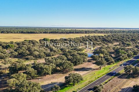 Terra a Samora Correia, Santarem, Samora Correia - € 1.500.000 | Ref: FG382 - foto 28