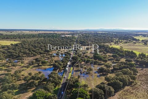Terra a Samora Correia, Santarem, Samora Correia - € 1.500.000 | Ref: FG382 - foto 29