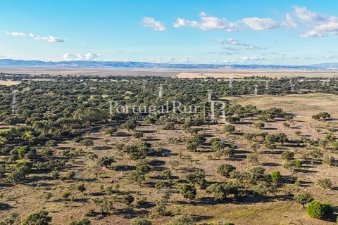 Terra a Samora Correia, Santarem, Samora Correia - € 1.500.000 | Ref: FG382 - foto 30