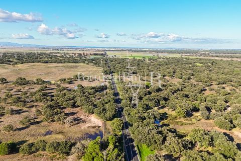 Terra a Samora Correia, Santarem, Samora Correia - € 1.500.000 | Ref: FG382 - foto 31