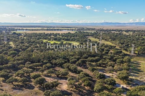 Terra a Samora Correia, Santarem, Samora Correia - € 1.500.000 | Ref: FG382 - foto 33