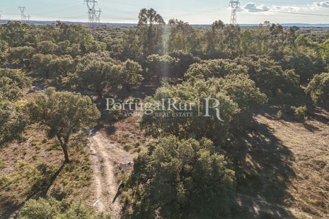 Terra a Samora Correia, Santarem, Samora Correia - € 1.500.000 | Ref: FG382 - foto 34