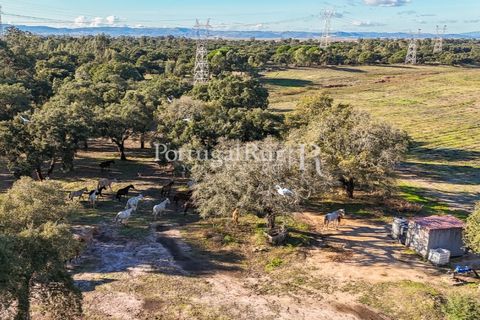 Terra a Samora Correia, Santarem, Samora Correia - € 1.500.000 | Ref: FG382 - foto 35