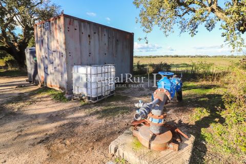 Terra a Samora Correia, Santarem, Samora Correia - € 1.500.000 | Ref: FG382 - foto 45