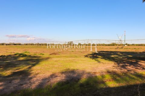 Terra a Samora Correia, Santarem, Samora Correia - € 1.500.000 | Ref: FG382 - foto 46