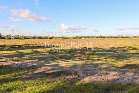 Terra a Samora Correia, Santarem, Samora Correia - € 1.500.000 | Ref: FG382 - foto 47