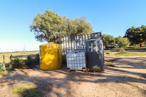Terra a Samora Correia, Santarem, Samora Correia - € 1.500.000 | Ref: FG382 - foto 50