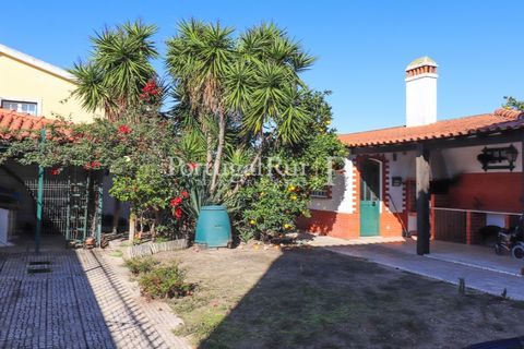 Villa i Alpiarca, Santarem, Alpiarca - € 445.000 | Ref: JF262 - foto 23