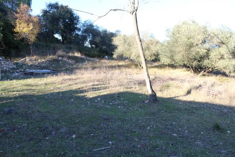 Terra a Uchaud, Gard, Uchaud - € 566.000 | Ref: 0069-PR - foto 2