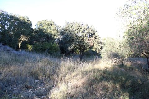 Terra a Uchaud, Gard, Uchaud - € 566.000 | Ref: 0069-PR - foto 3