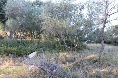 Terra a Uchaud, Gard, Uchaud - € 566.000 | Ref: 0069-PR - foto 4