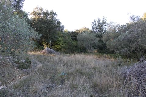 Terra a Uchaud, Gard, Uchaud - € 566.000 | Ref: 0069-PR - foto 5