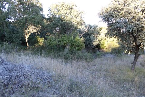 Terra a Uchaud, Gard, Uchaud - € 566.000 | Ref: 0069-PR - foto 6