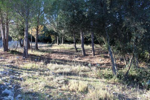 Terra a Uchaud, Gard, Uchaud - € 566.000 | Ref: 0069-PR - foto 7