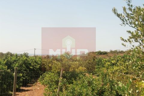 Helårsgrund i Estoi, Faro, Estoi - € 65.000 | Ref: 165150194 - foto 5